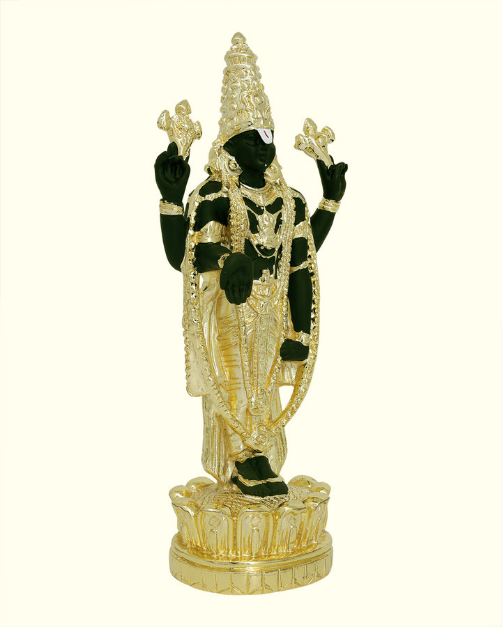 8" Tirumala Balaji (Gold with Black Colour)