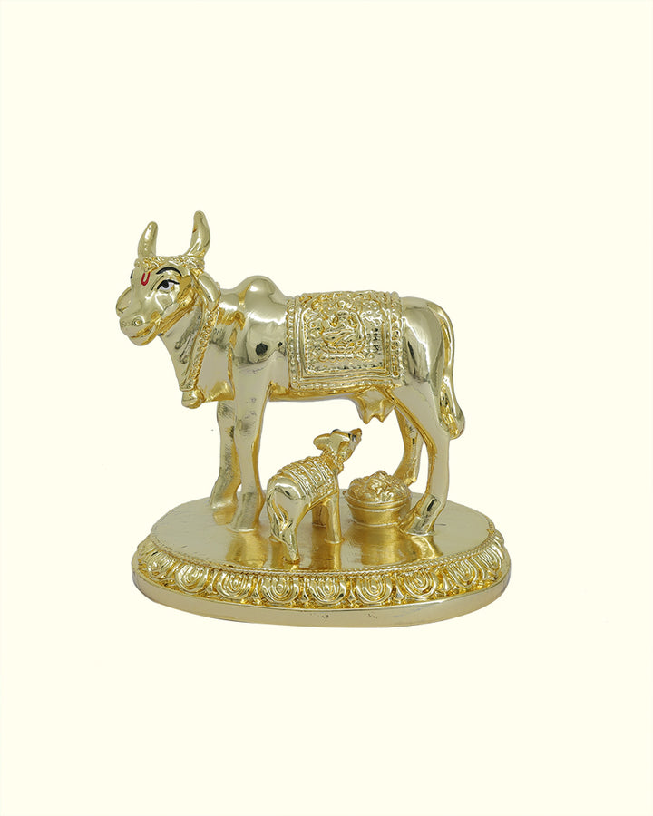 3.5" Wide Gomatha with Calf (Gold Colour)