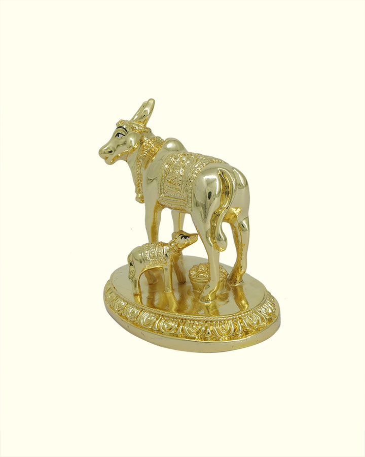 3.5" Wide Gomatha with Calf (Gold Colour)