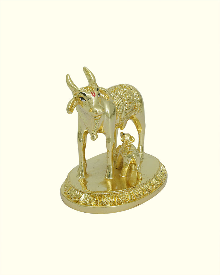 3.5" Wide Gomatha with Calf (Gold Colour)