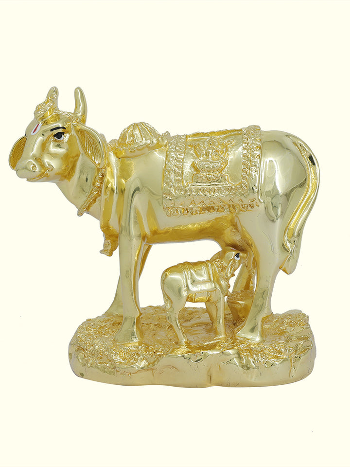 5.5" Wide Go Matha with Calf (Gold Colour)