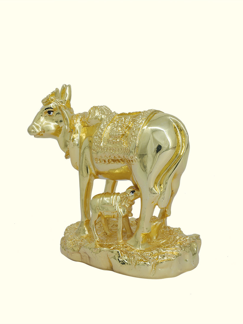 5.5" Wide Go Matha with Calf (Gold Colour)