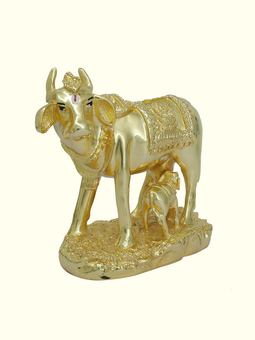 5.5" Wide Go Matha with Calf (Gold Colour)