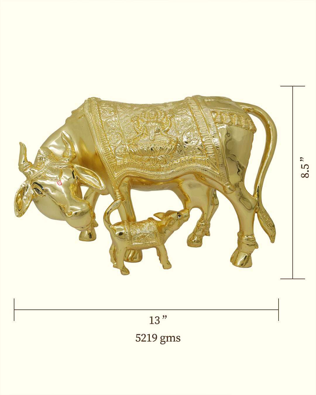 13" Wide Gomatha with Calf (Gold Colour)