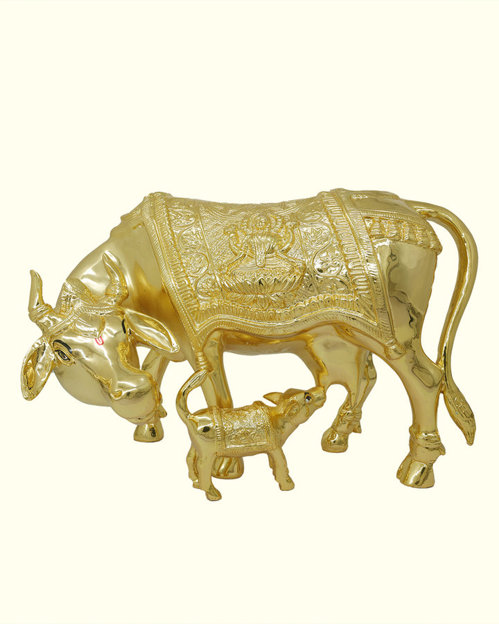 13" Wide Gomatha with Calf (Gold Colour)