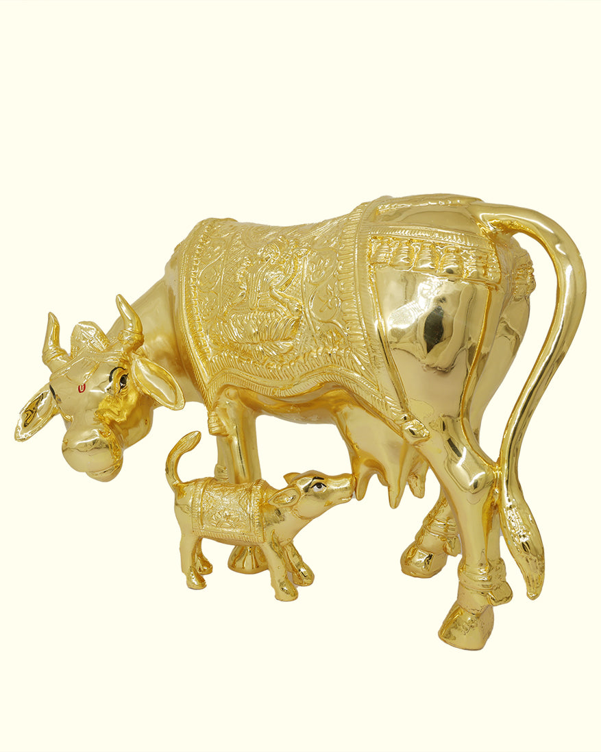 13" Wide Gomatha with Calf (Gold Colour)