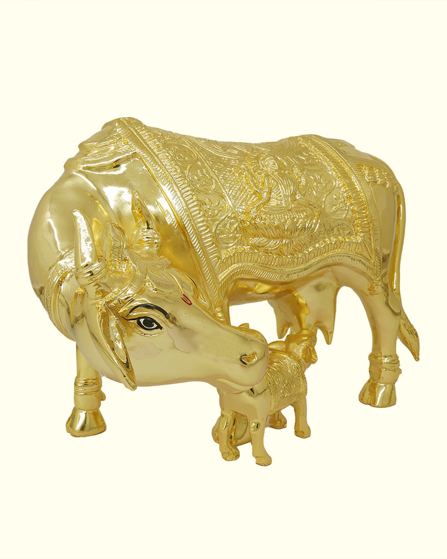 13" Wide Gomatha with Calf (Gold Colour)