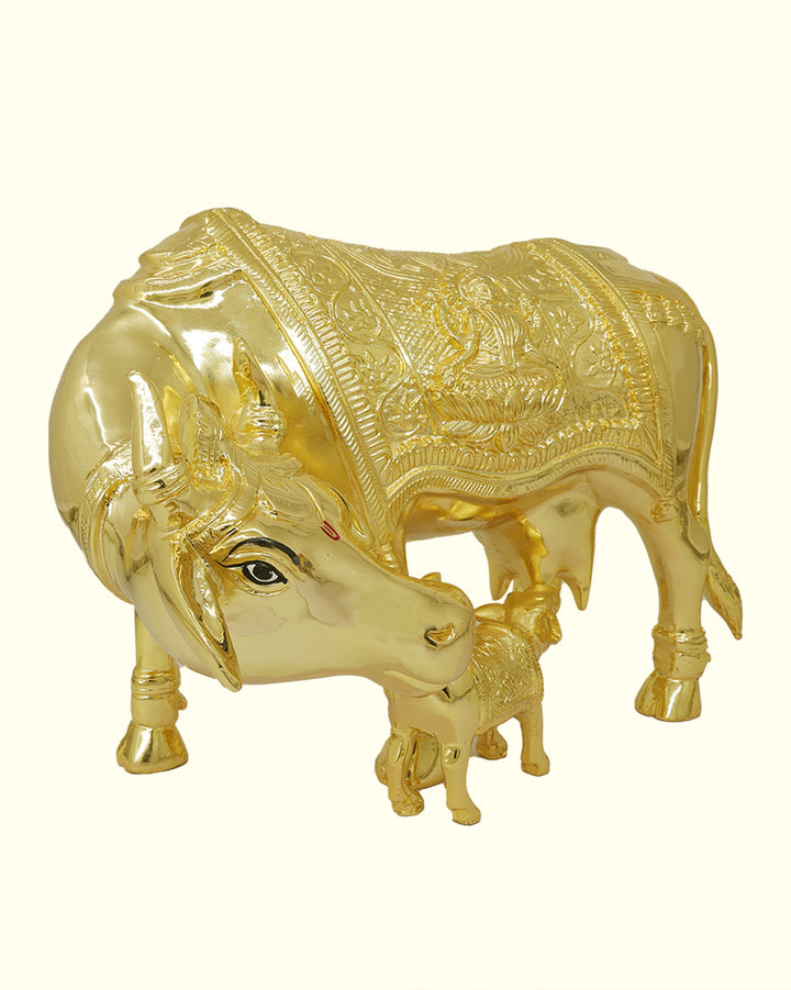 13" Wide Gomatha with Calf (Gold Colour)