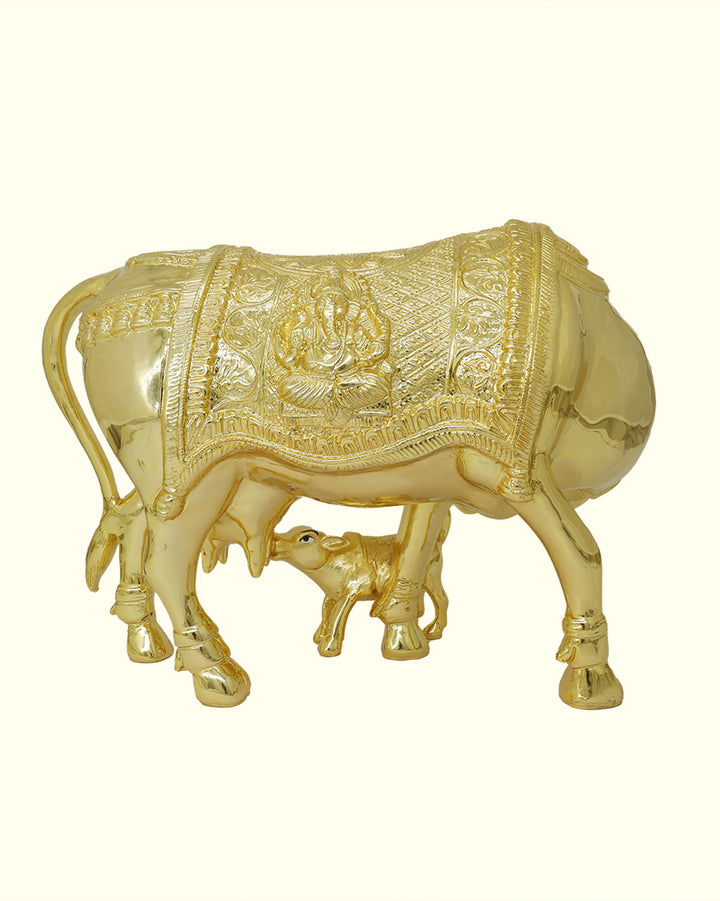 13" Wide Gomatha with Calf (Gold Colour)